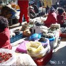 사람이 그리워서 홍 이미지