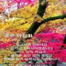 소중한 인연/카톡 이미지 이미지