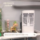 요즘같이 습한 여름, 미니냉풍기로 에어컨 전기세 아끼는 법 (씽크라이프 후기)