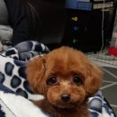 24시 지구촌메디컬센터 미용실 이미지