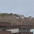 노양1리마을회관 이미지