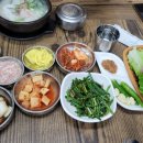 발리스파테라스5 이미지