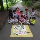 새보화어린이집 이미지