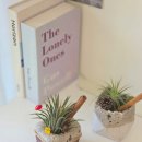 원예공예교실 | 초등학교 특수반 출강수업 후기 – 발포세라믹으로 만드는 버려지는 우유곽 재활용 화분