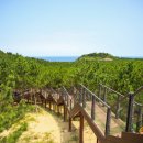 CU 대청도2호점 이미지