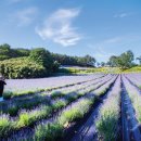 남계농장 이미지