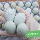 영미농장 이미지