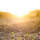 진주팜농약 이미지