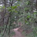 다무락마을 쉼터 이미지