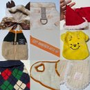 아기강아지 | 다이소 강아지 옷 내돈내산 후기 | 다이소 아기 강아지 S 사이즈 옷 모음집