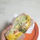 샐러리아숭의