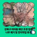 애터미청량리믿음센타 | 강북구 미아동 화단 조경 업체 나무 제거 및 전지작업 후기