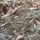 밤나무골농장 이미지