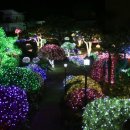 제주허브동산 이미지