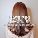 살롱드 이안 Salon de ian | 일산 웨돔 미용실 추천 - 아이디헤어 웨스턴2호점 이안실장님 염색후기