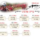 장미길 이미지