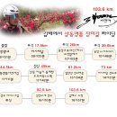 김해에서 상동 103.6km 장미길 라이딩 이미지