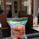 그래비 | [데일리 트립]대전 수제버거 맛집 그래비패티버거 반석동 가격 메뉴 솔직 후기