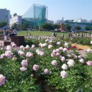 승아농장 이미지