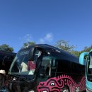 세븐일레븐 대구성당점 | [10박 11일 LA-칸쿤 신혼여행] LA-칸쿤 6일차(크리스탈 칸쿤, 스칼렛 아르떼 치첸이사투어, 크리스탈...