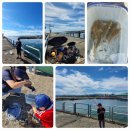 아띠뜨락 이미지