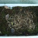 학선농장 이미지