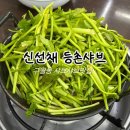 1238 | 구월동샤브샤브맛집 신선채등촌샤브 내돈내산 솔직후기
