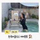 강아지마을 | 전주 한옥마을 근처 애견동반 숙소 미미몽몽 후기, 강아지와 힐링여행