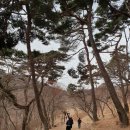 전등사 동문1(온수리613-10) | 2025.1.26(일) 강화도 &#39;전등사&#39; 참방(참배,탐방)
