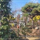 (매매완료)경남고성부동산 - 고성읍 외곽 멋들어진 소나무가 있는 아름다운 정원, 전원주택매매 577제곱미터 (174) 이미지
