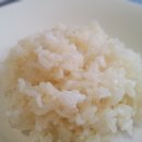 새싹의 아침 이미지