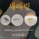 홍릉로 8 이미지