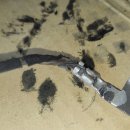 디젤포유 이미지