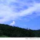 백련주유소 이미지