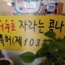 전주거꾸로콩나물국밥 이미지