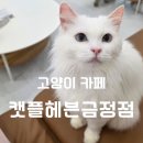 캣플헤븐 AK플라자금정점 이미지