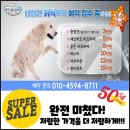 마이리틀프렌드위탁목욕