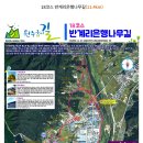 원주굽이길 18코스 반계리은행나무길 이미지