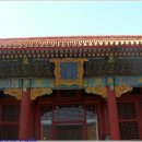 락 궁 티스토리