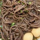 면 사무소 - 논산시 | [경기광주 초월맛집] 쫀득한 수제 메밀면과 100시간 숙성 돈카츠의 환상 조합! '초월면사무소' 방문 후기