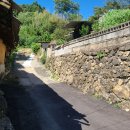 시원농장 이미지