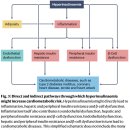 Impaired glucose tolerance, 고인슐린 혈증, 인슐린 저항성 탐구!!! 이미지