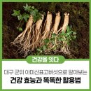 한국보훈복지의료공단 대구보훈병원 | [건강팔도여행] 대구 아미산 표고버섯으로 알아보는 건강 효능과 대구 보훈 의료·복지시설 한눈에 보기