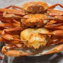 울진대게 이미지