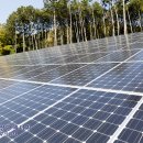 성광 태양광발전소 이미지