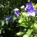 골짜기농장 이미지