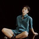 호시템