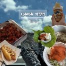 비금도 | 속초 여행 기록, 체스터톤스속초, 비금도, 설익워터피아, 완도회식당 솔직 후기