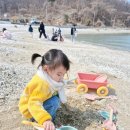 복음식당 | 대부도 맛집 구봉도식당 대부객주 바지락쌈밥 해물파전 후기