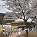 오요호스텔 동대문1 | 5인 가족 4만원으로 다녀온 청풍유스호스텔 이용후기, 제천 청풍벚꽃축제